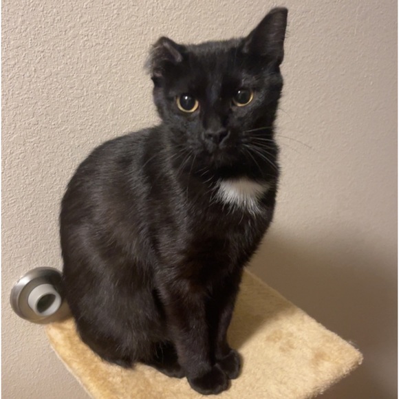 LIVE SHOWS / HOST APPRECIATION - Picture 5 of 14